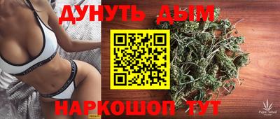 индика Ипатово
